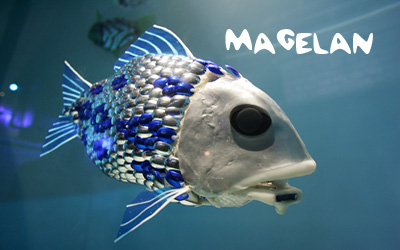 Форекс советник Magelan 2.0